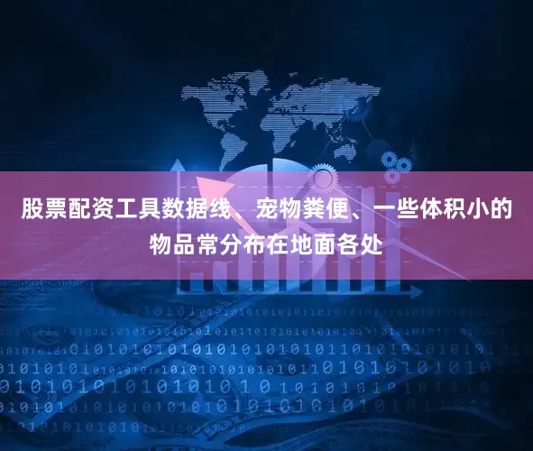 股票配资工具数据线、宠物粪便、一些体积小的物品常分布在地面各处